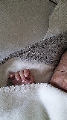 120210_151219.jpg
