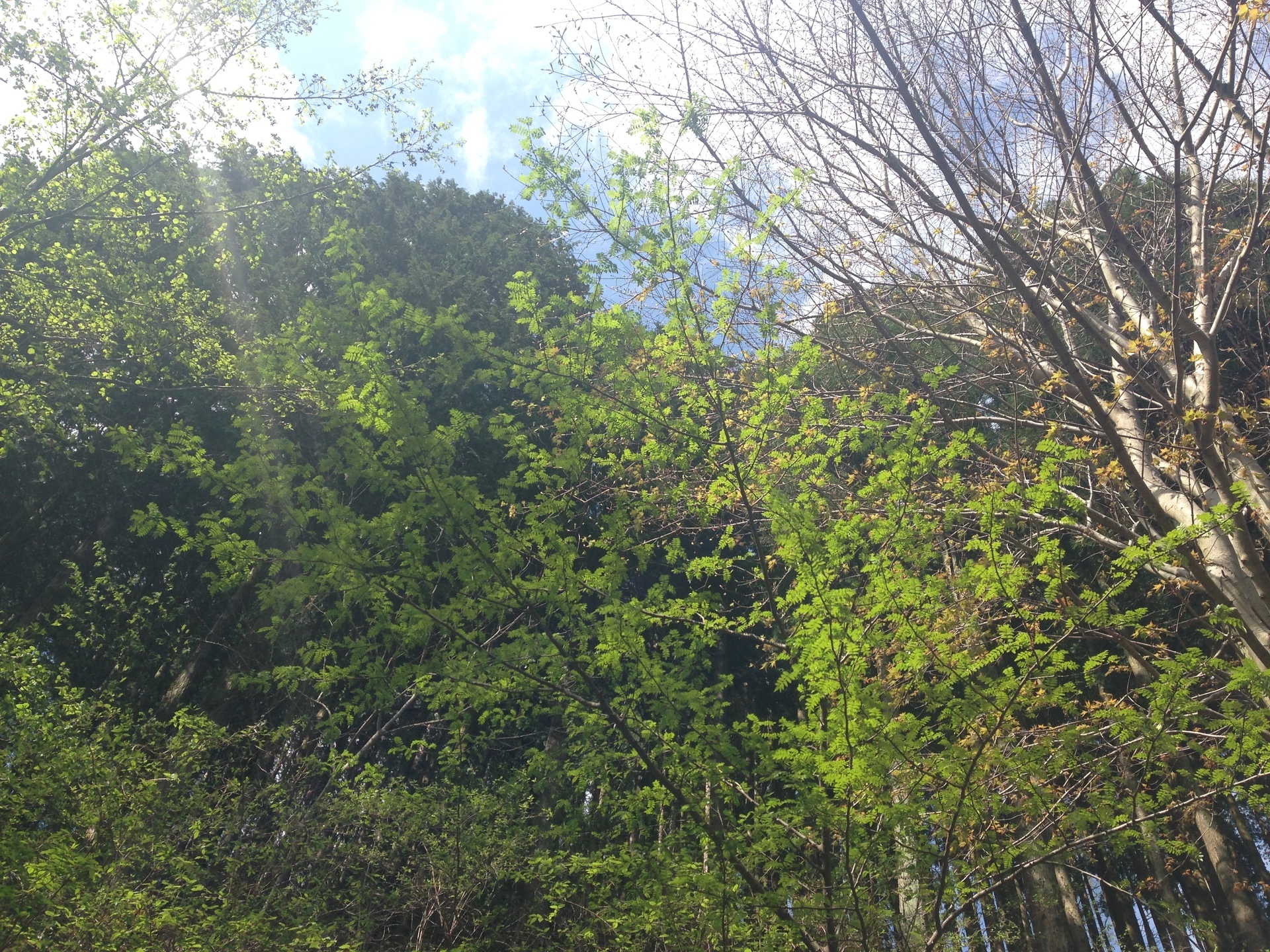 蜀咏悄 2015-04-21 14 12 40.jpg