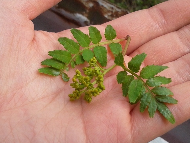 蜀咏悄 2015-04-21 14 45 53.jpg